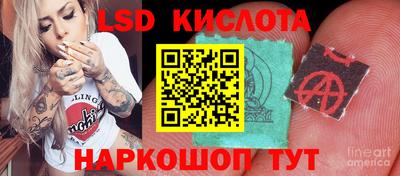 apvp Пенза