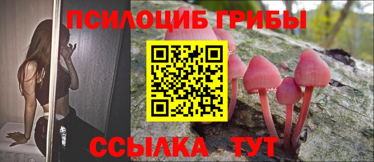 Наркошоп  Саянск  Вход с VPN  МЕФ кристаллы  ГАШ  Марихуана 