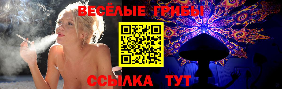 Псилоцибиновые грибы мицелий Саянск